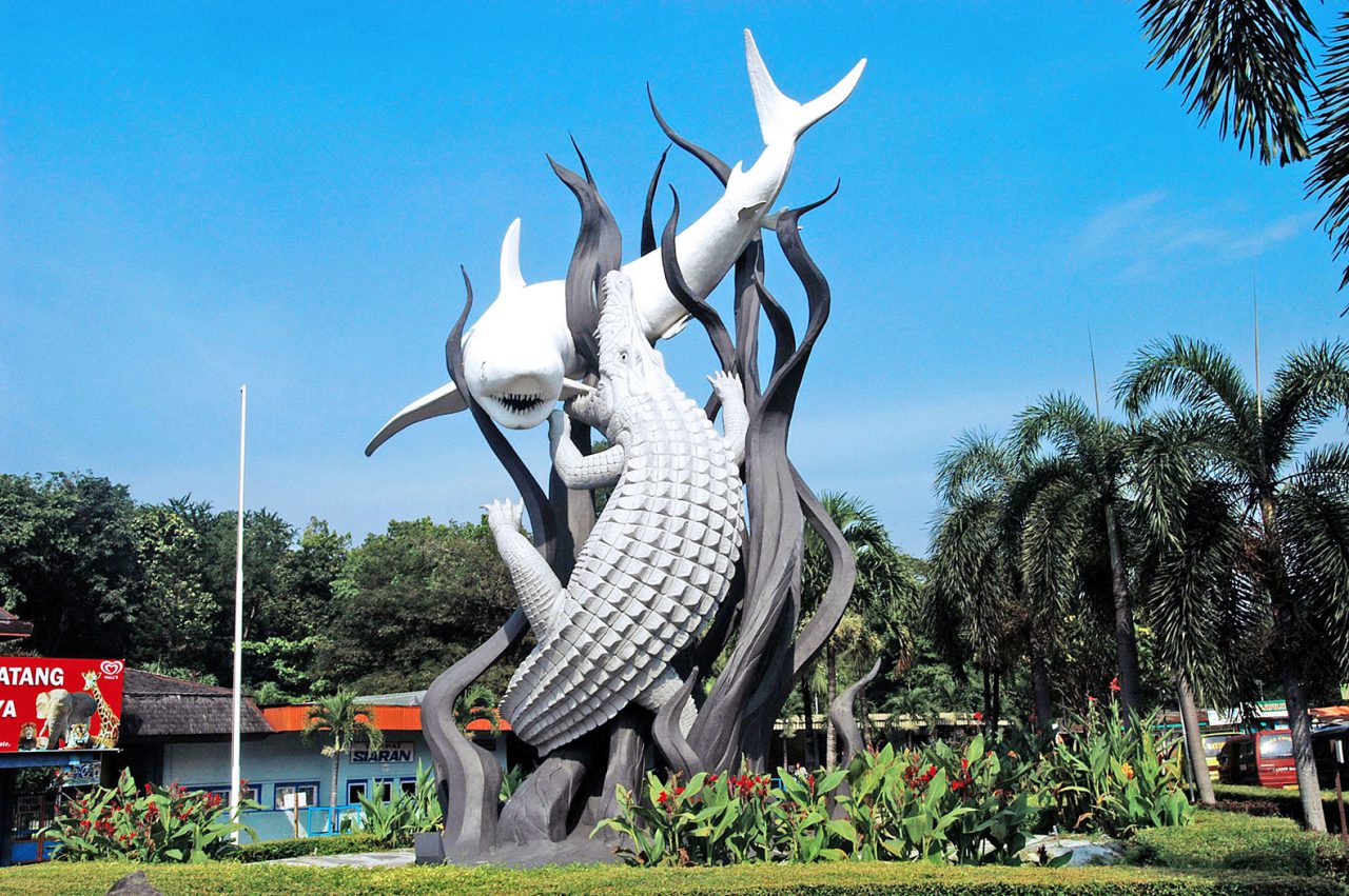 Biro Psikologi di Surabaya, Solutiva Berikan Layanan untuk PT PEB